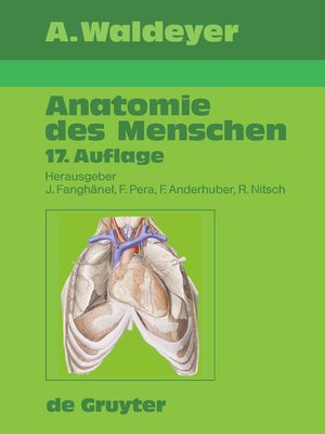 cover image of Waldeyer--Anatomie des Menschen